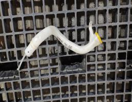 Горловина бачка омывателя для Subaru Subaru Outback (B14) 2010-2014  запчасти бу